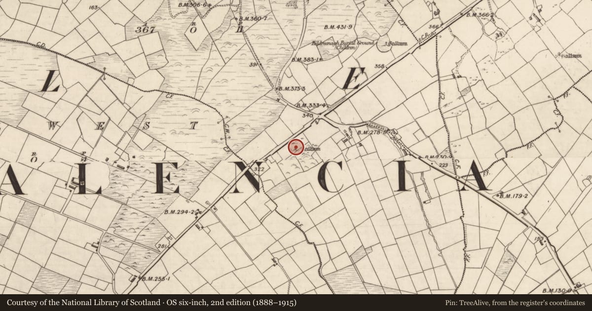 Ordnance Survey six-inch map, 2nd edition (1888–1915) covering the location of Ogham stone, Cool East, County Kerry, with a pin at the register's coordinates