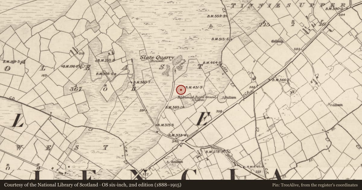 Ordnance Survey six-inch map, 2nd edition (1888–1915) covering the location of Megalithic tomb - wedge tomb, Cool East, County Kerry, with a pin at the register's coordinates