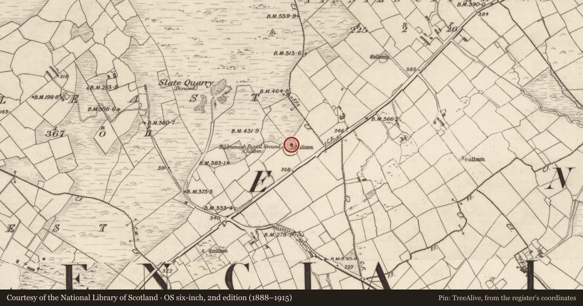 Ordnance Survey six-inch map, 2nd edition (1888–1915) covering the location of Ogham stone, Cool East, County Kerry, with a pin at the register's coordinates