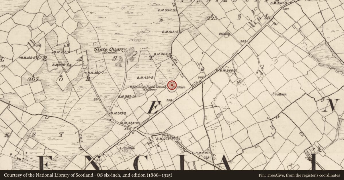 Ordnance Survey six-inch map, 2nd edition (1888–1915) covering the location of Ecclesiastical enclosure, Cool East, County Kerry, with a pin at the register's coordinates