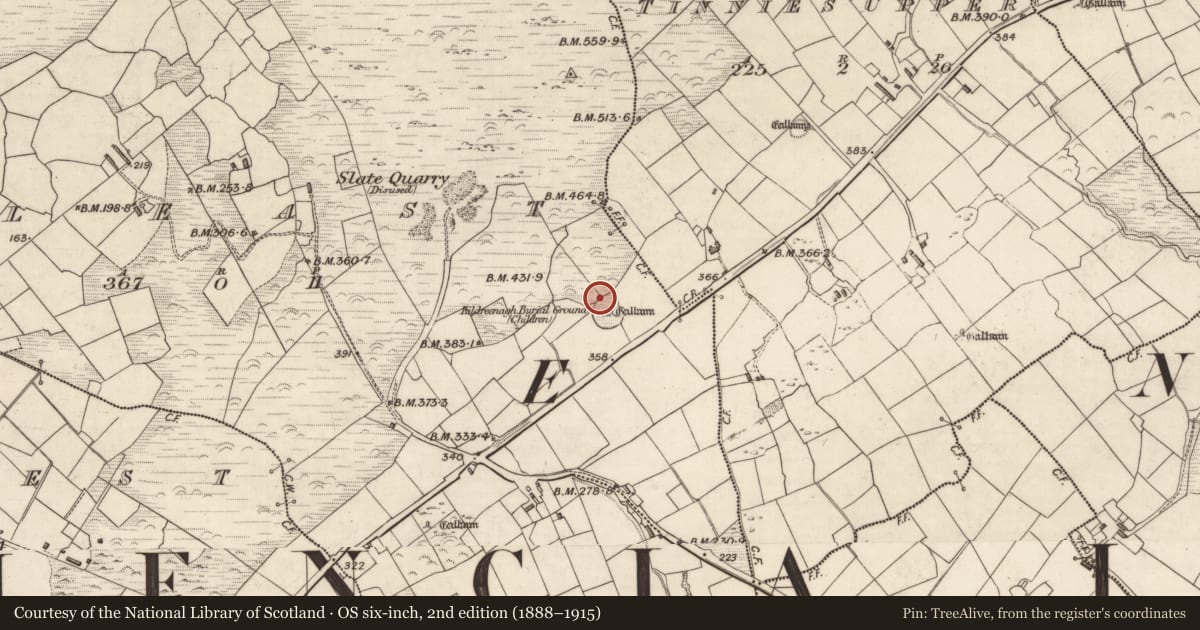 Ordnance Survey six-inch map, 2nd edition (1888–1915) covering the location of Shrine, Cool East, County Kerry, with a pin at the register's coordinates