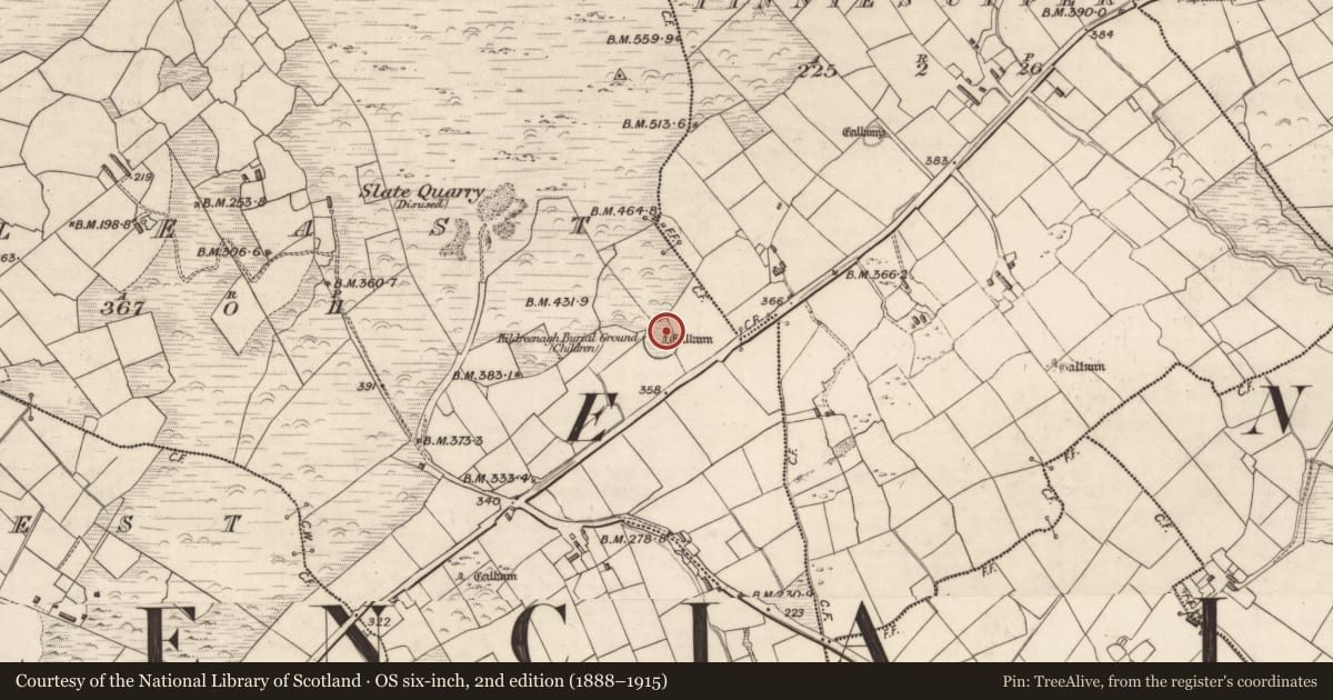Ordnance Survey six-inch map, 2nd edition (1888–1915) covering the location of Holed stone, Cool East, County Kerry, with a pin at the register's coordinates