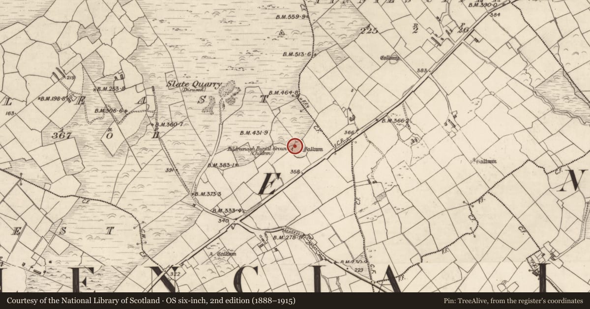 Ordnance Survey six-inch map, 2nd edition (1888–1915) covering the location of Hut site, Cool East, County Kerry, with a pin at the register's coordinates