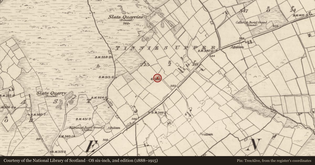 Ordnance Survey six-inch map, 2nd edition (1888–1915) covering the location of Ringfort - rath, Tinnies Upper, County Kerry, with a pin at the register's coordinates