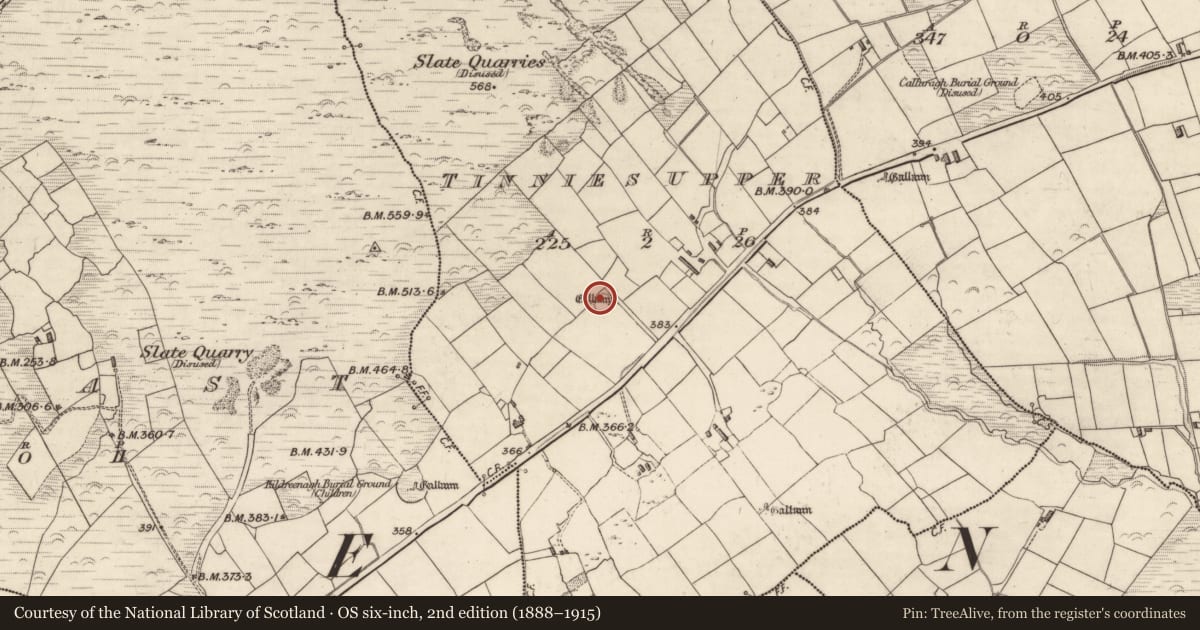 Ordnance Survey six-inch map, 2nd edition (1888–1915) covering the location of Hut site, Tinnies Upper, County Kerry, with a pin at the register's coordinates