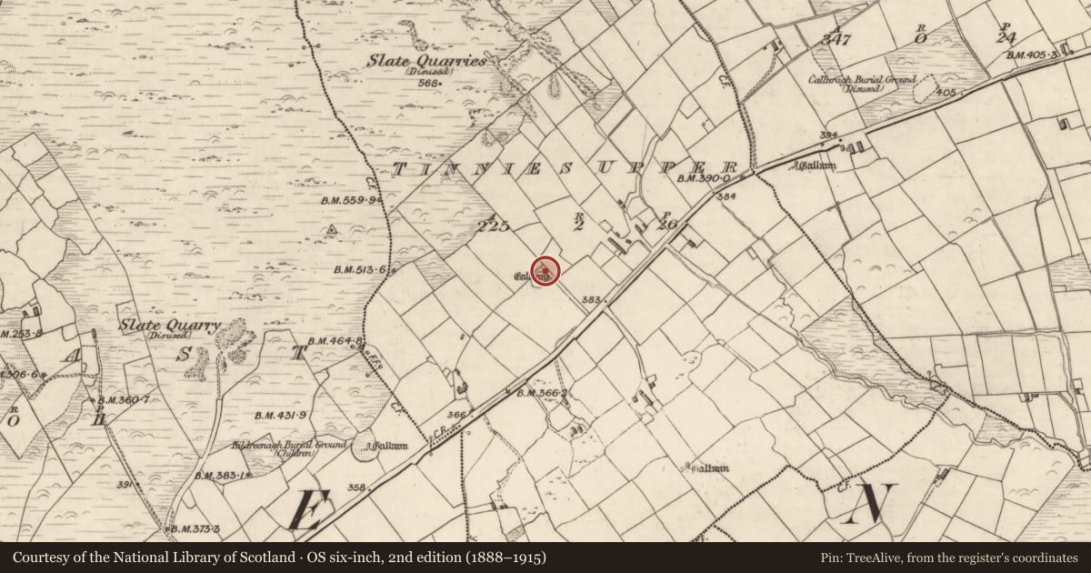 Ordnance Survey six-inch map, 2nd edition (1888–1915) covering the location of Standing stone, Tinnies Upper, County Kerry, with a pin at the register's coordinates