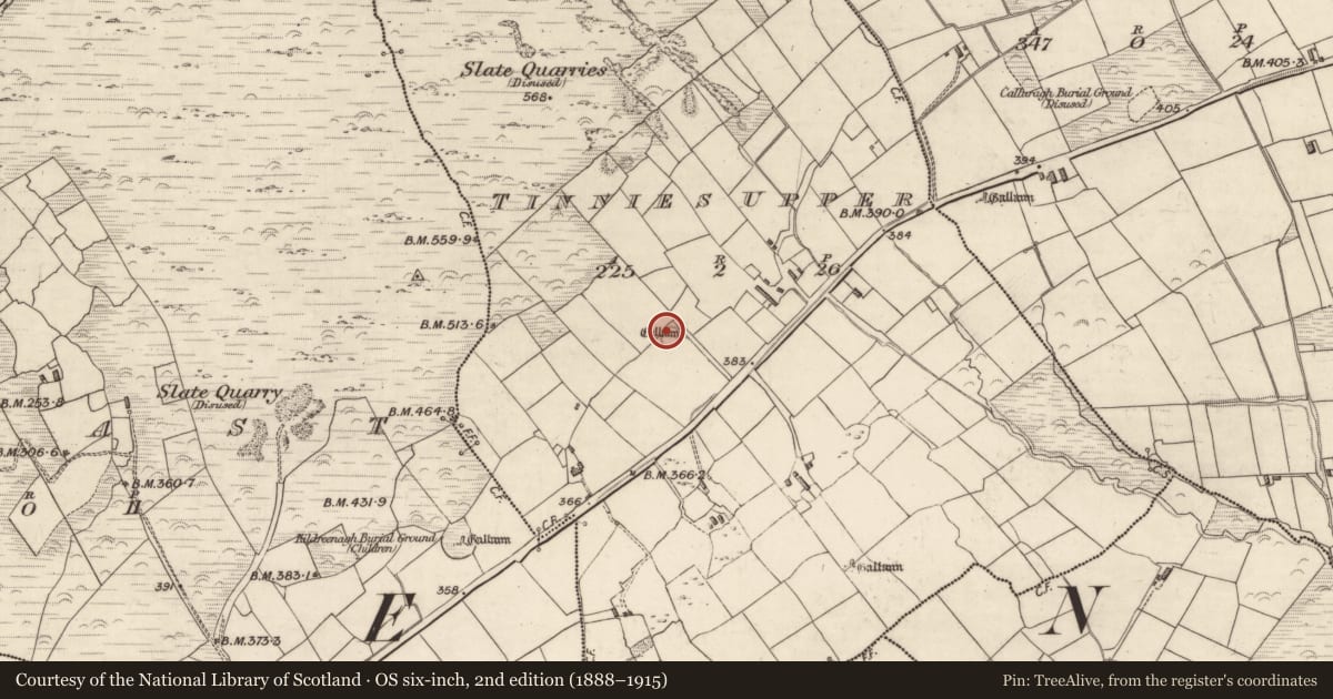 Ordnance Survey six-inch map, 2nd edition (1888–1915) covering the location of Hut site, Tinnies Upper, County Kerry, with a pin at the register's coordinates