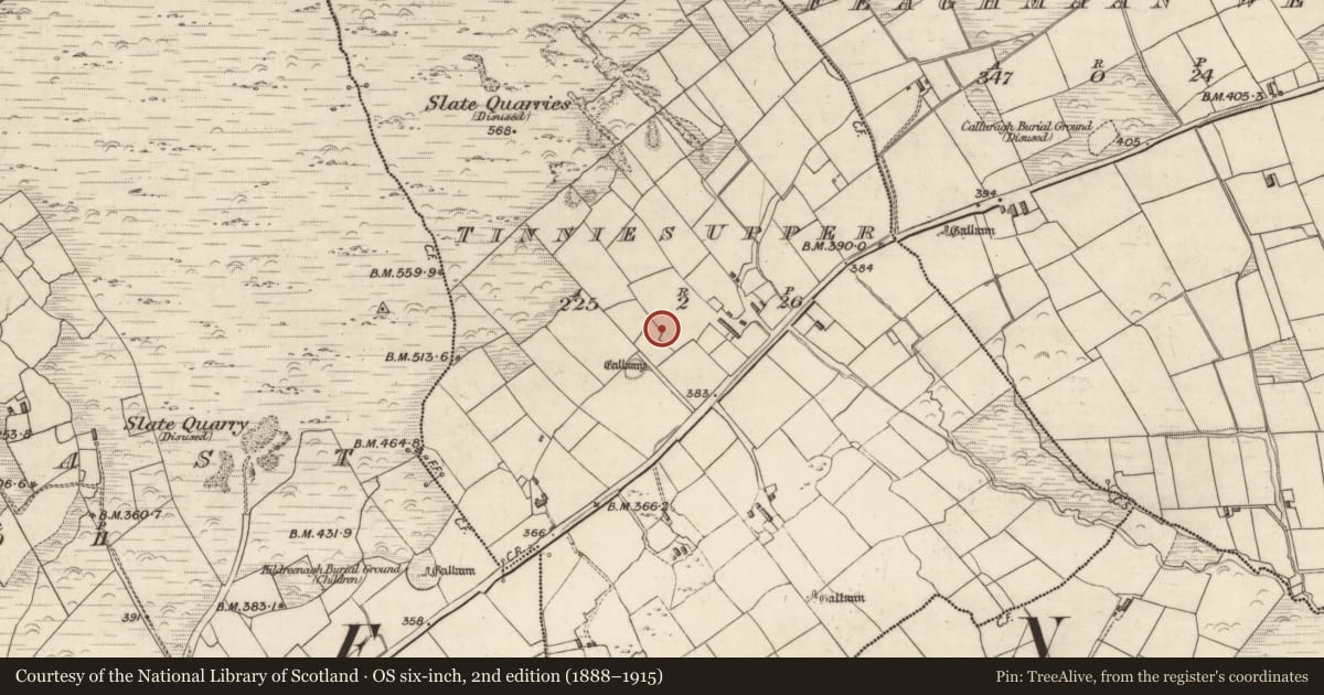 Ordnance Survey six-inch map, 2nd edition (1888–1915) covering the location of Souterrain, Tinnies Upper, County Kerry, with a pin at the register's coordinates