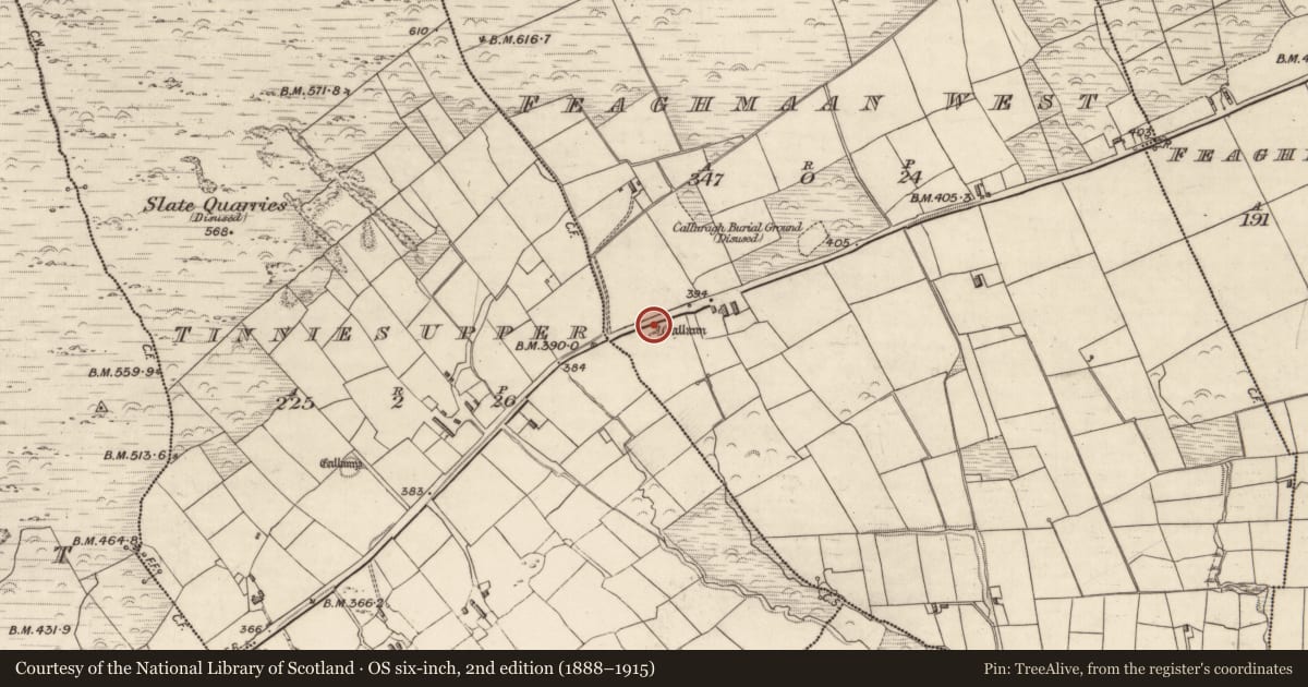 Ordnance Survey six-inch map, 2nd edition (1888–1915) covering the location of Standing stone, Feaghmaan West, County Kerry, with a pin at the register's coordinates