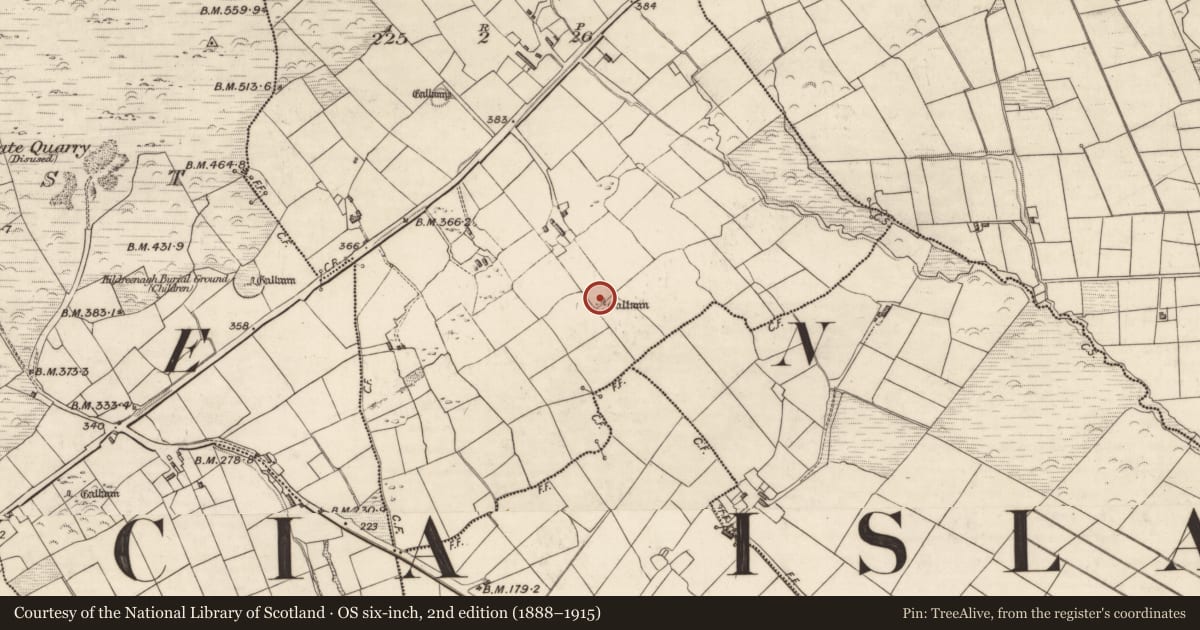 Ordnance Survey six-inch map, 2nd edition (1888–1915) covering the location of Standing stone, Tinnies Upper, County Kerry, with a pin at the register's coordinates