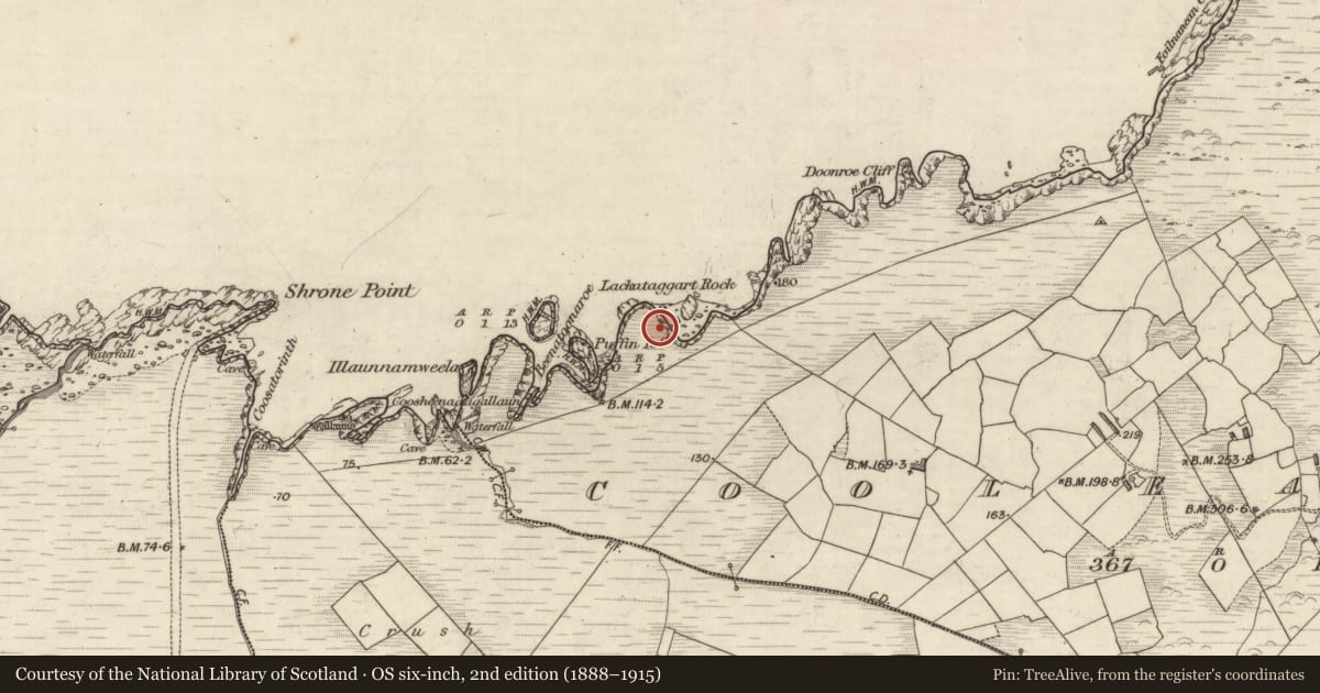 Ordnance Survey six-inch map, 2nd edition (1888–1915) covering the location of Hut site, Cool East, County Kerry, with a pin at the register's coordinates