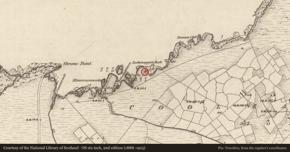 Ordnance Survey six-inch map, 2nd edition (1888–1915) covering the location of Hut site, Cool East, County Kerry, with a pin at the register's coordinates