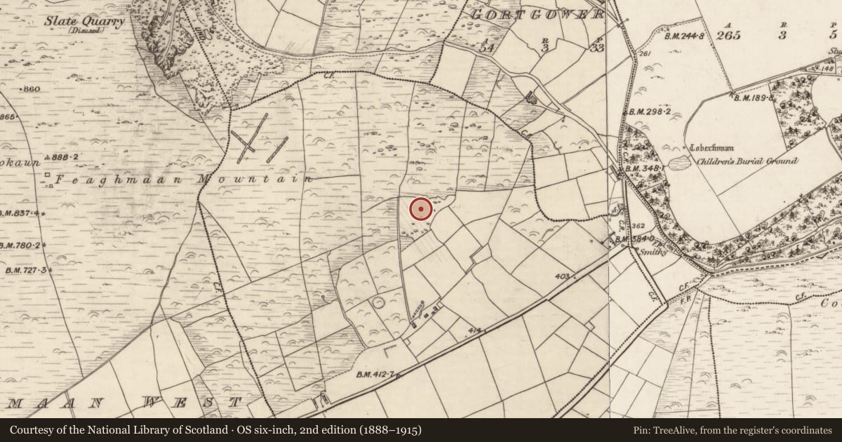 Ordnance Survey six-inch map, 2nd edition (1888–1915) covering the location of Enclosure, Feaghmaan East, County Kerry, with a pin at the register's coordinates