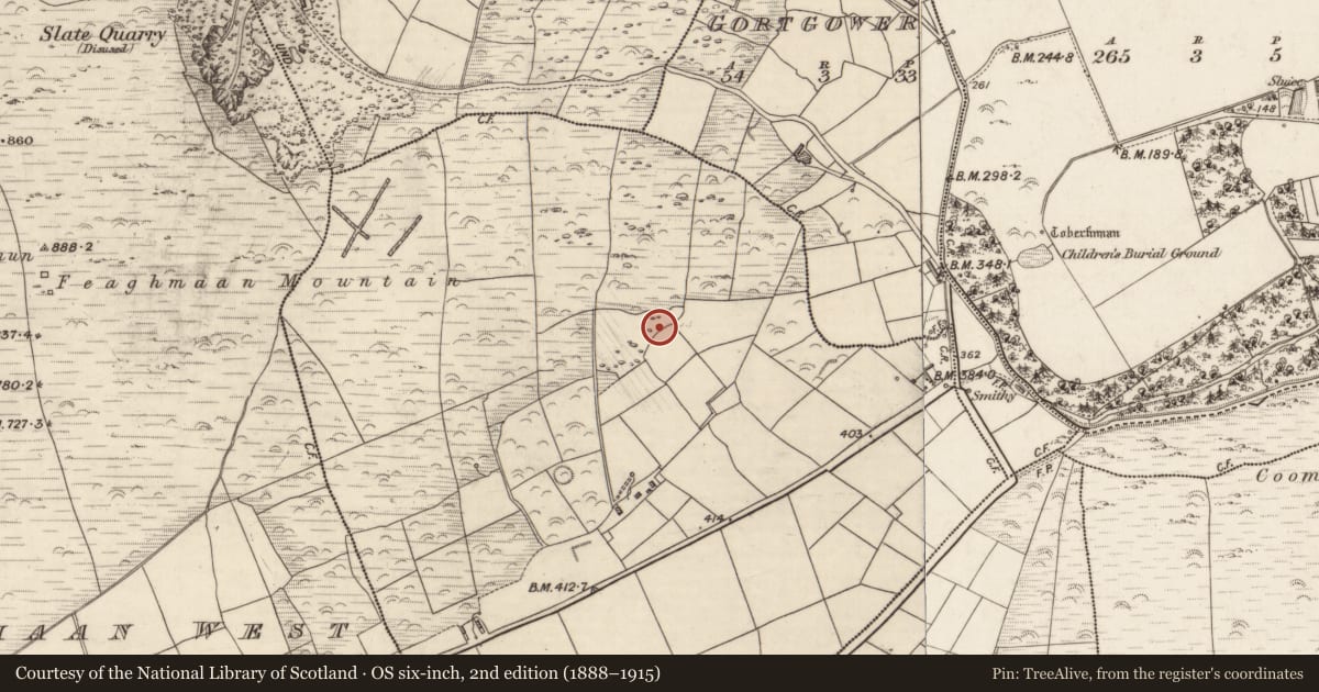 Ordnance Survey six-inch map, 2nd edition (1888–1915) covering the location of Hut site, Feaghmaan East, County Kerry, with a pin at the register's coordinates