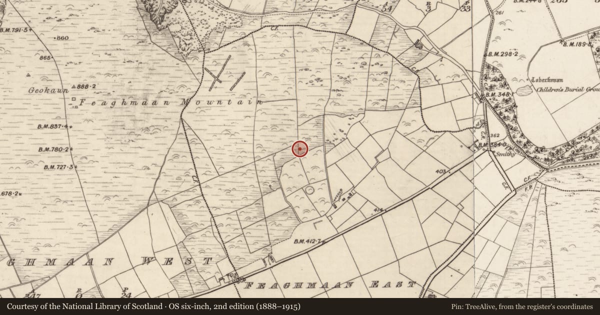 Ordnance Survey six-inch map, 2nd edition (1888–1915) covering the location of Ringfort - rath, Feaghmaan East, County Kerry, with a pin at the register's coordinates