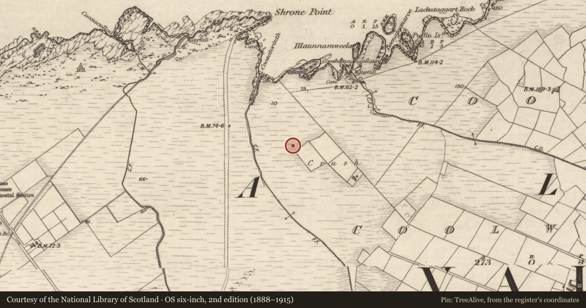 Ordnance Survey six-inch map, 2nd edition (1888–1915) covering the location of Hut site, Cool West, County Kerry, with a pin at the register's coordinates