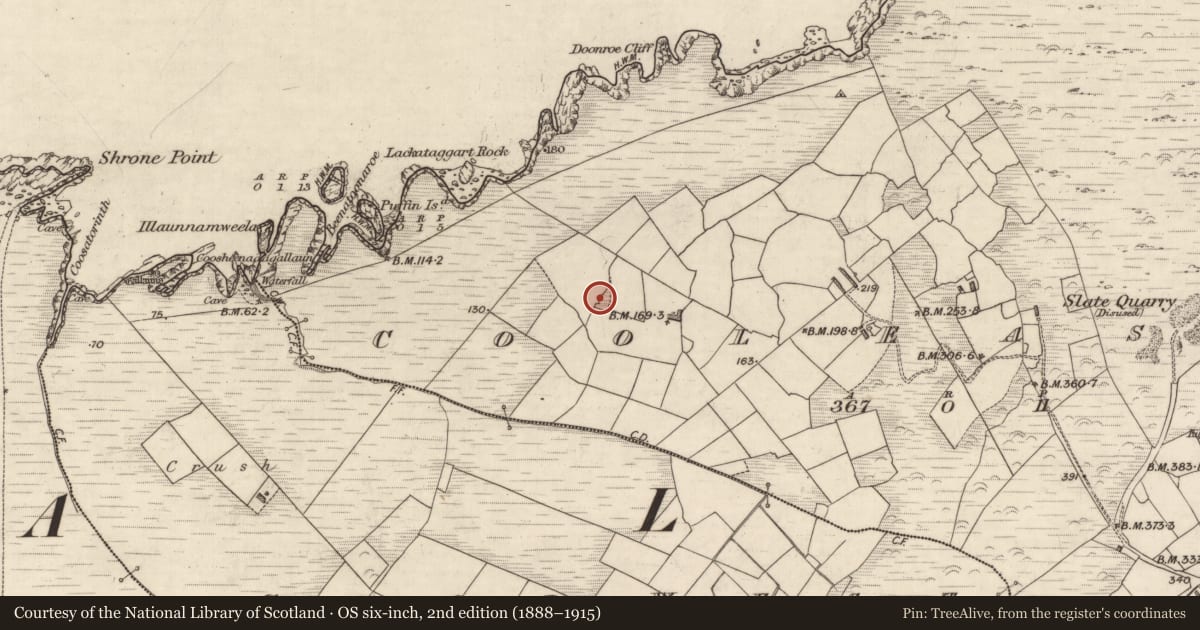 Ordnance Survey six-inch map, 2nd edition (1888–1915) covering the location of Hut site, Cool East, County Kerry, with a pin at the register's coordinates
