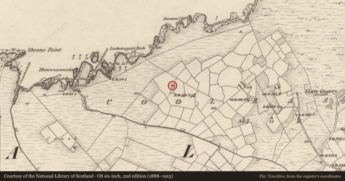 Ordnance Survey six-inch map, 2nd edition (1888–1915) covering the location of Souterrain, Cool East, County Kerry, with a pin at the register's coordinates