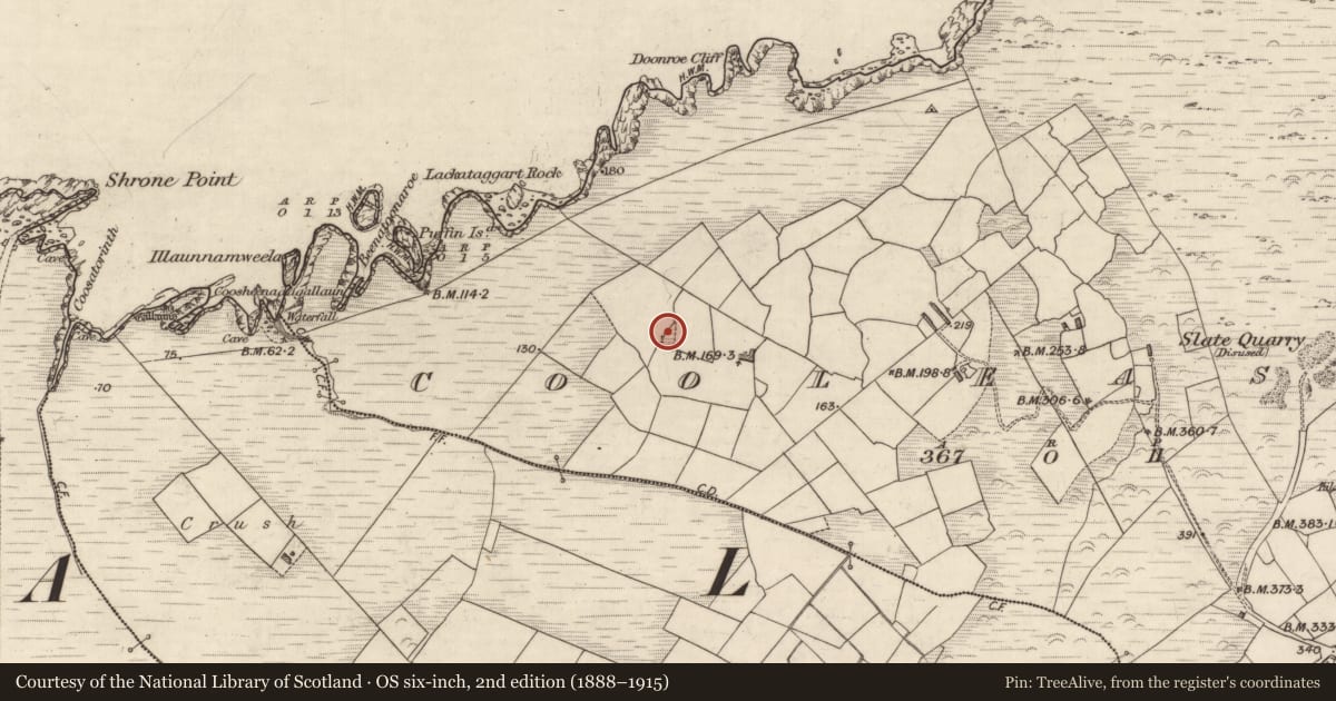 Ordnance Survey six-inch map, 2nd edition (1888–1915) covering the location of Hut site, Cool East, County Kerry, with a pin at the register's coordinates