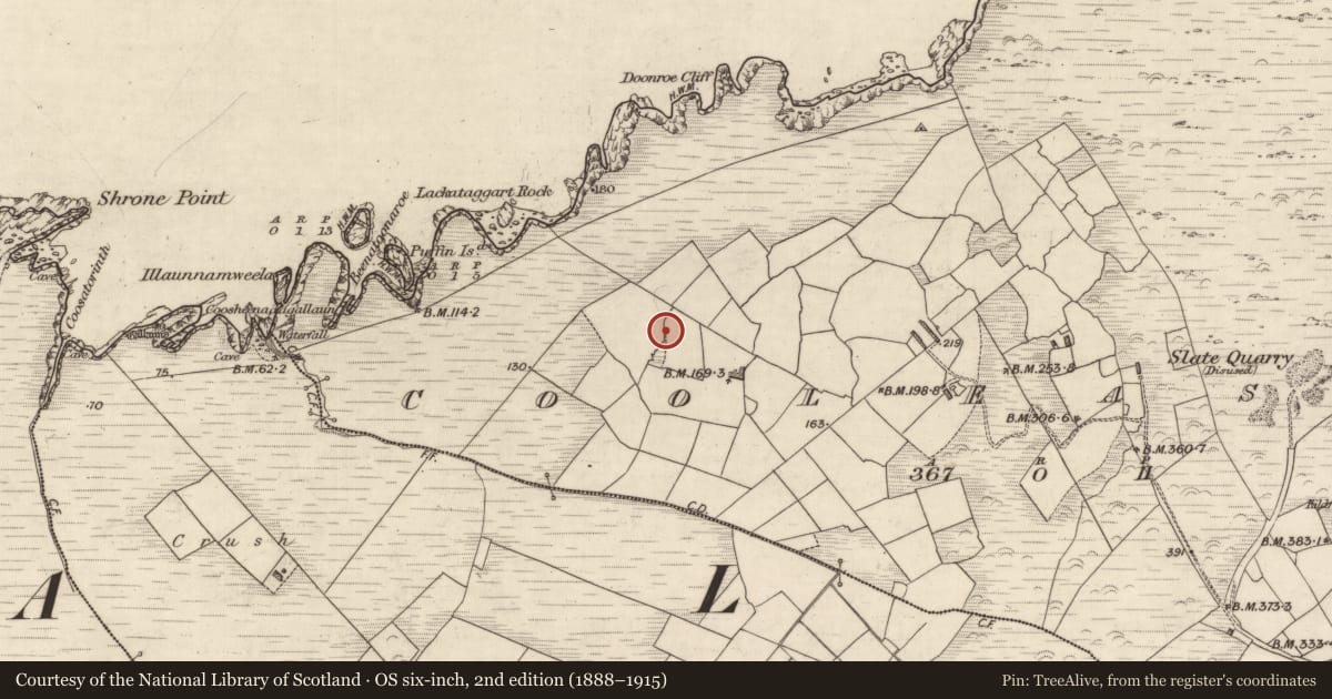 Ordnance Survey six-inch map, 2nd edition (1888–1915) covering the location of Hut site, Cool East, County Kerry, with a pin at the register's coordinates