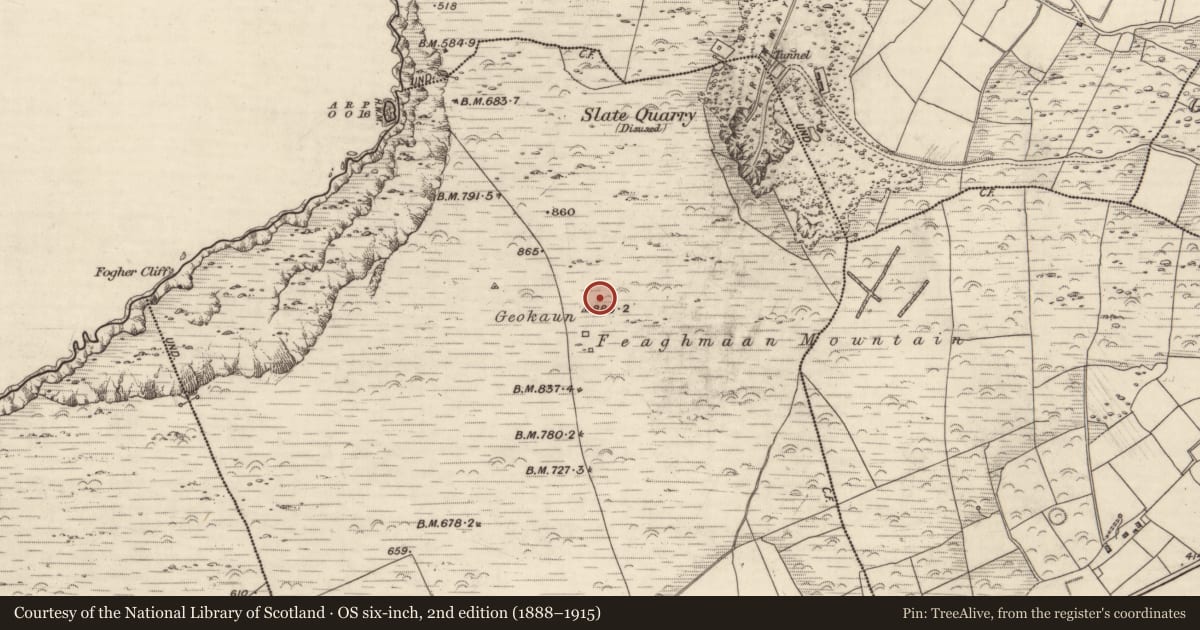 Ordnance Survey six-inch map, 2nd edition (1888–1915) covering the location of Hut site, Feaghmaan West, County Kerry, with a pin at the register's coordinates