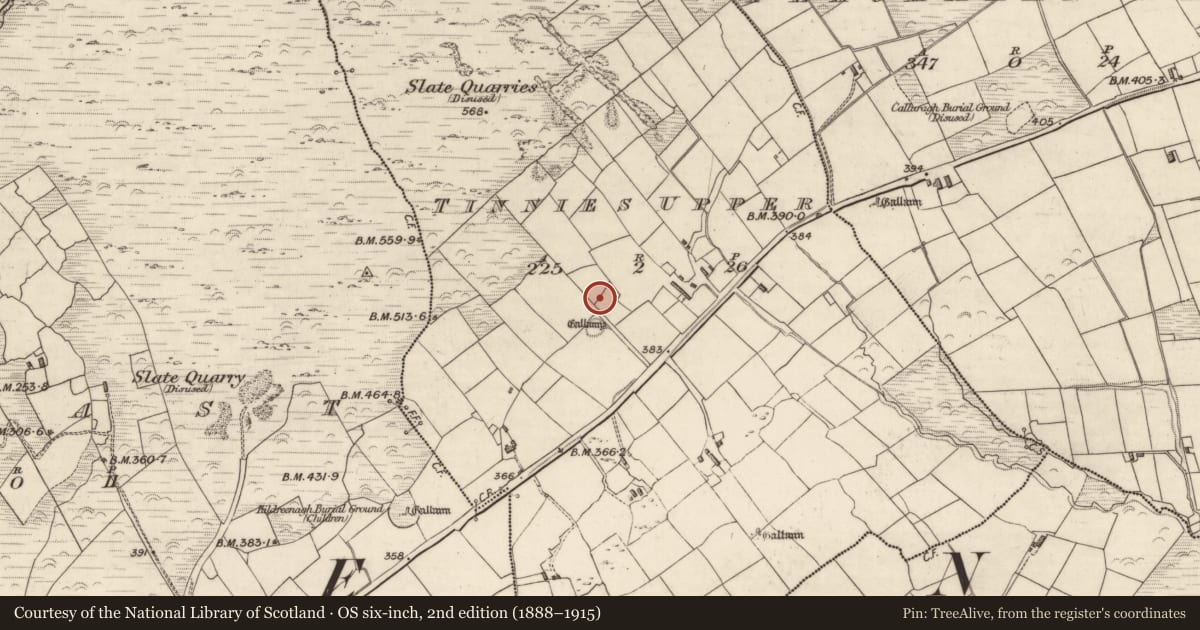 Ordnance Survey six-inch map, 2nd edition (1888–1915) covering the location of Hut site, Tinnies Upper, County Kerry, with a pin at the register's coordinates