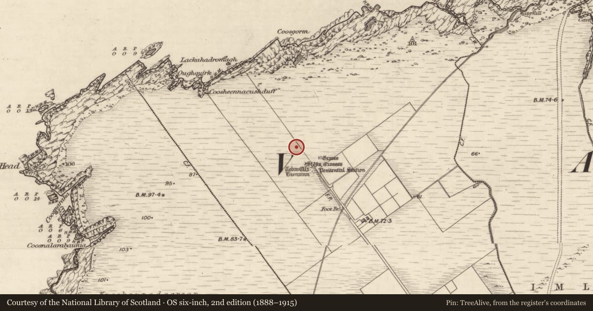 Ordnance Survey six-inch map, 2nd edition (1888–1915) covering the location of Road - road/trackway, Coarha Beg, County Kerry, with a pin at the register's coordinates