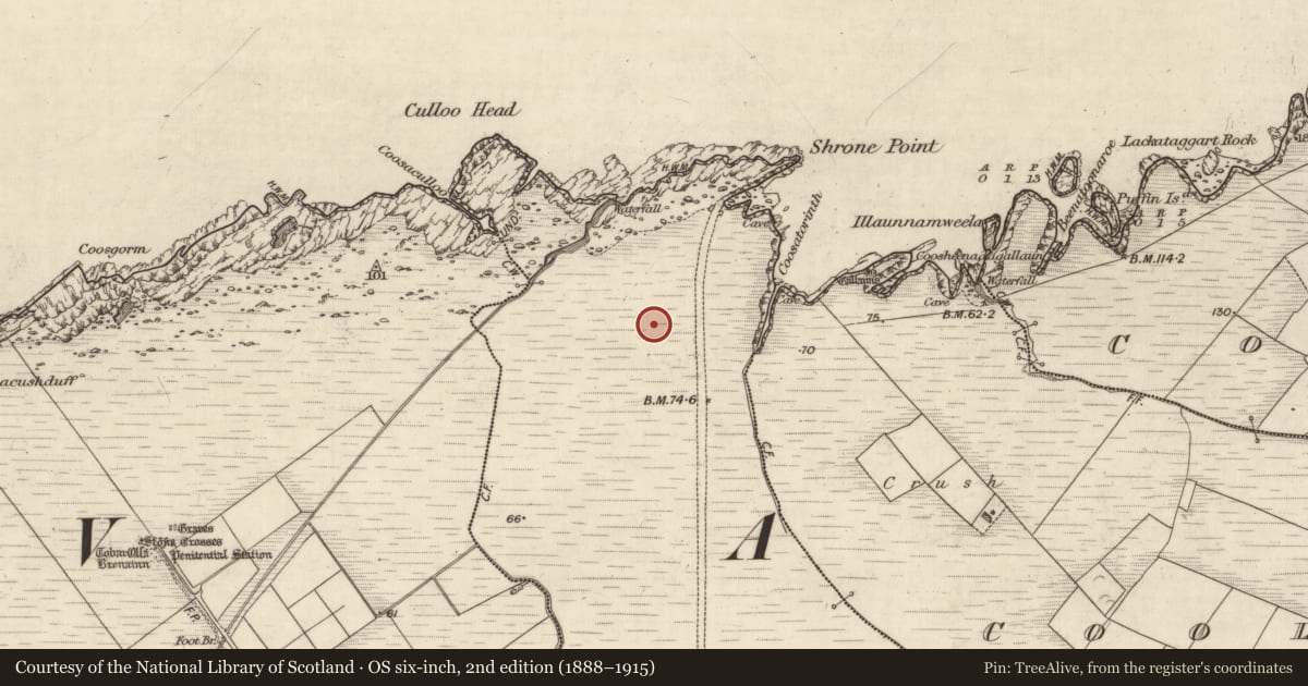 Ordnance Survey six-inch map, 2nd edition (1888–1915) covering the location of House - early medieval, Coarha More, County Kerry, with a pin at the register's coordinates