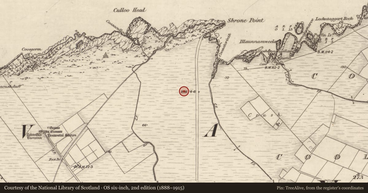 Ordnance Survey six-inch map, 2nd edition (1888–1915) covering the location of Hut site, Coarha More, County Kerry, with a pin at the register's coordinates