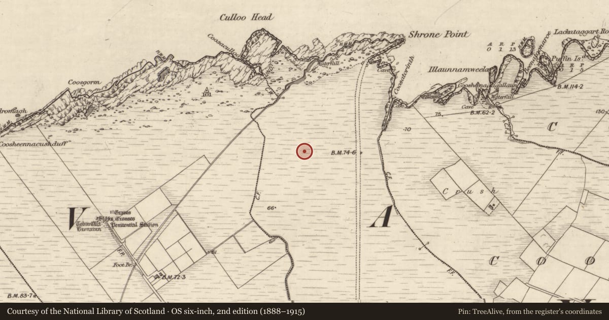 Ordnance Survey six-inch map, 2nd edition (1888–1915) covering the location of House - early medieval, Coarha More, County Kerry, with a pin at the register's coordinates