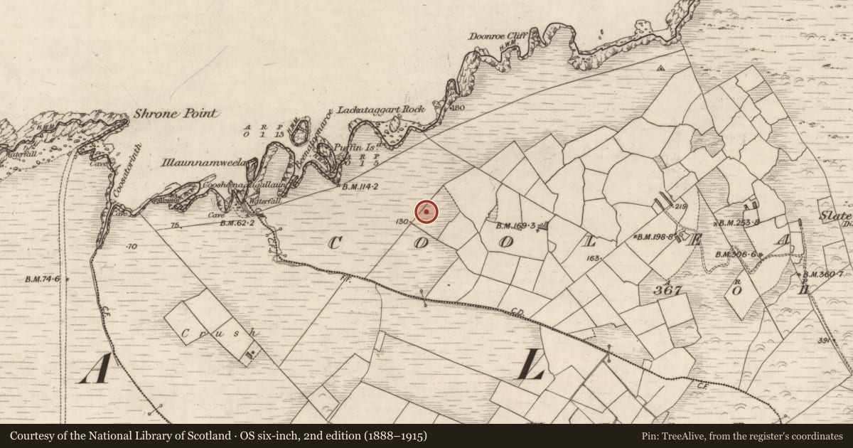 Ordnance Survey six-inch map, 2nd edition (1888–1915) covering the location of Hut site, Cool East, County Kerry, with a pin at the register's coordinates