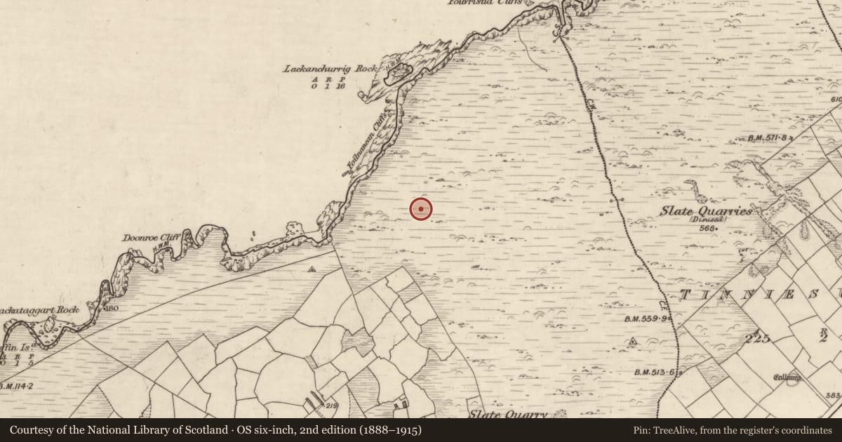 Ordnance Survey six-inch map, 2nd edition (1888–1915) covering the location of Field system, Cool East, County Kerry, with a pin at the register's coordinates