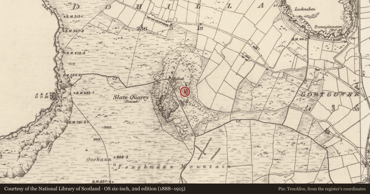 Ordnance Survey six-inch map, 2nd edition (1888–1915) covering the location of Quarry, Dohilla, Feaghmaan West, County Kerry, with a pin at the register's coordinates