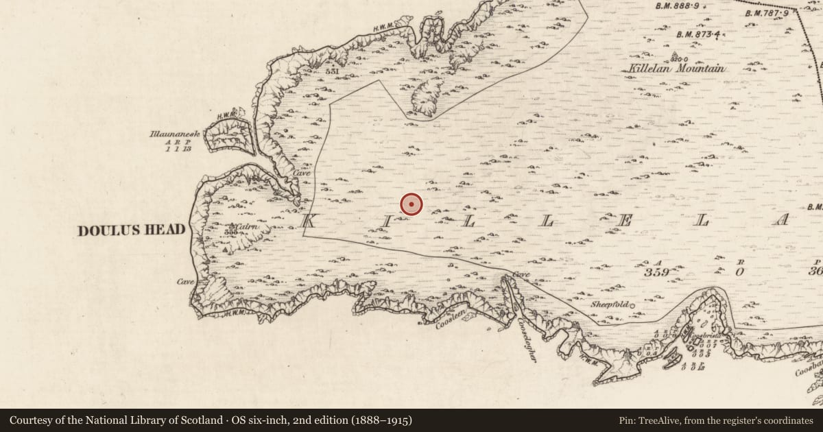 Ordnance Survey six-inch map, 2nd edition (1888–1915) covering the location of Hut site, Killelan West, County Kerry, with a pin at the register's coordinates