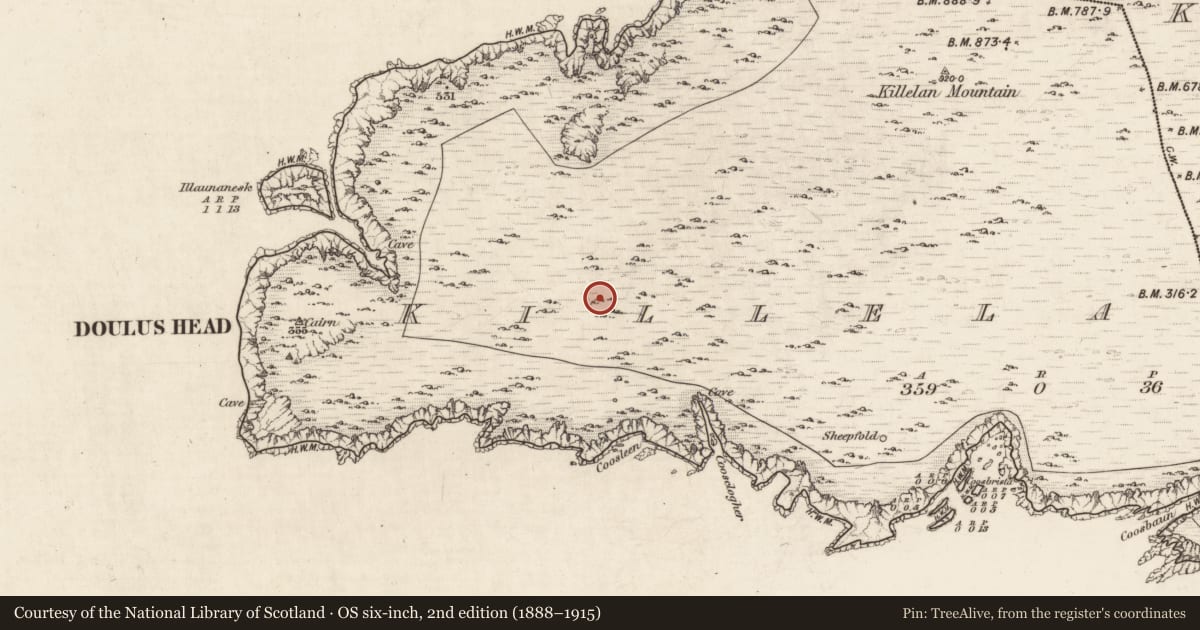 Ordnance Survey six-inch map, 2nd edition (1888–1915) covering the location of Field boundary, Killelan West, County Kerry, with a pin at the register's coordinates