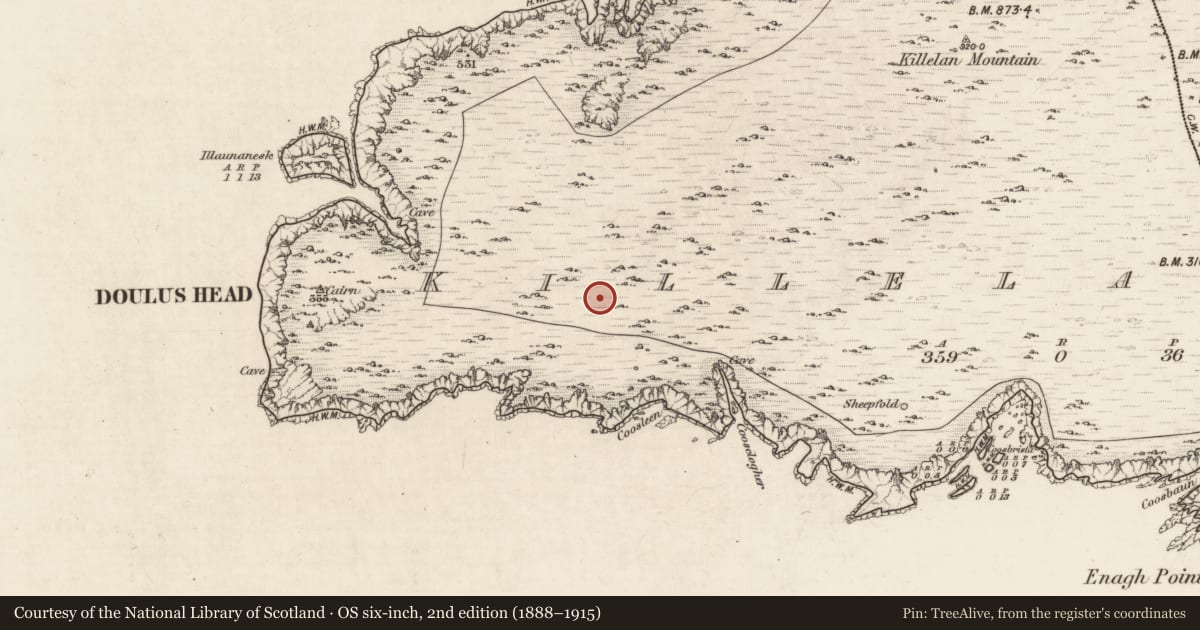 Ordnance Survey six-inch map, 2nd edition (1888–1915) covering the location of Hut site, Killelan West, County Kerry, with a pin at the register's coordinates