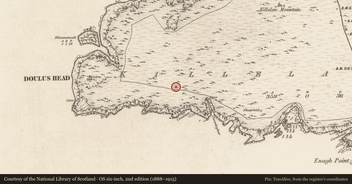 Ordnance Survey six-inch map, 2nd edition (1888–1915) covering the location of Hut site, Killelan West, County Kerry, with a pin at the register's coordinates