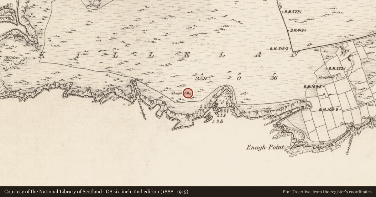 Ordnance Survey six-inch map, 2nd edition (1888–1915) covering the location of Hut site, Killelan West, County Kerry, with a pin at the register's coordinates