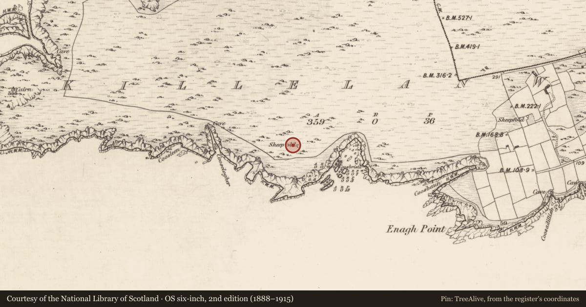Ordnance Survey six-inch map, 2nd edition (1888–1915) covering the location of Hut site, Killelan West, County Kerry, with a pin at the register's coordinates