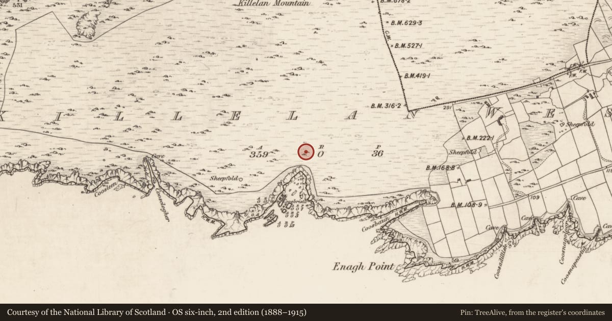 Ordnance Survey six-inch map, 2nd edition (1888–1915) covering the location of Hut site, Killelan West, County Kerry, with a pin at the register's coordinates