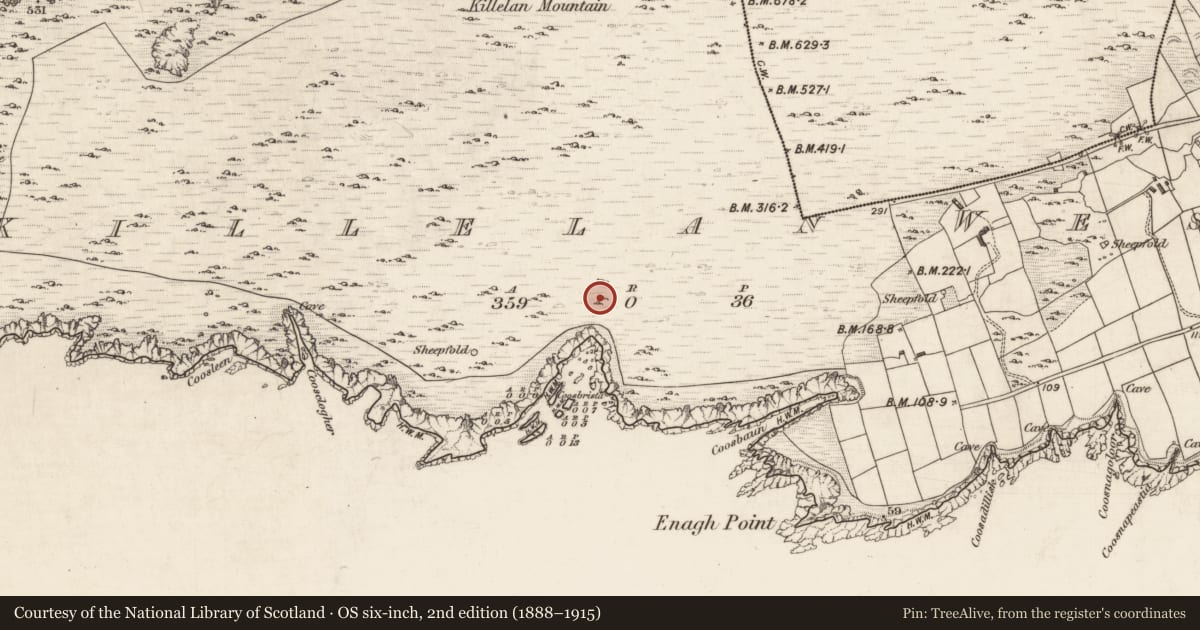 Ordnance Survey six-inch map, 2nd edition (1888–1915) covering the location of Hut site, Killelan West, County Kerry, with a pin at the register's coordinates