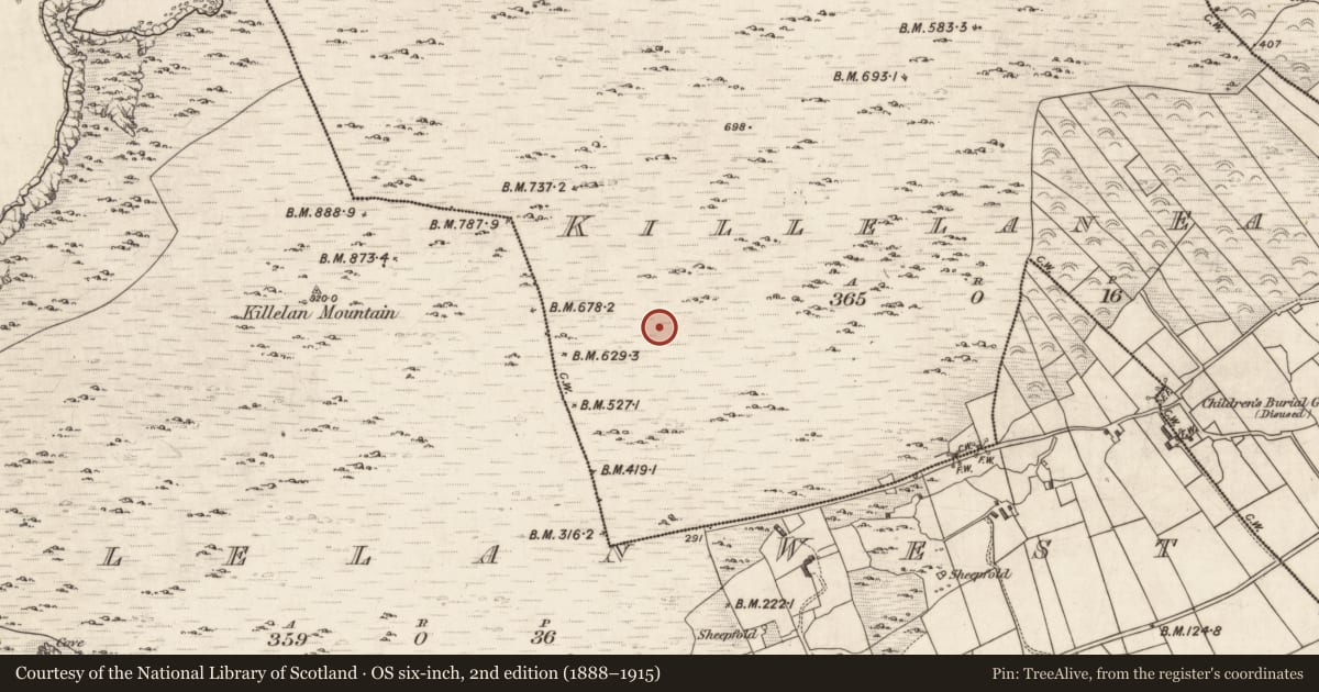 Ordnance Survey six-inch map, 2nd edition (1888–1915) covering the location of Hut site, Killelan East, County Kerry, with a pin at the register's coordinates