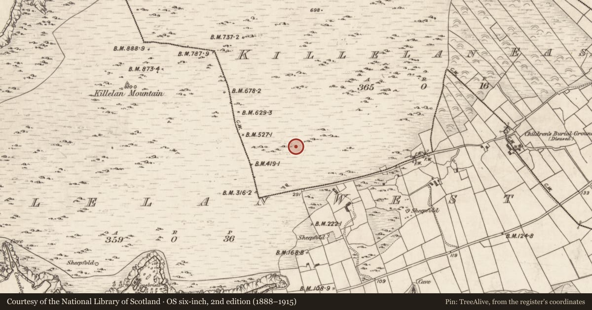 Ordnance Survey six-inch map, 2nd edition (1888–1915) covering the location of Field boundary, Killelan East, County Kerry, with a pin at the register's coordinates