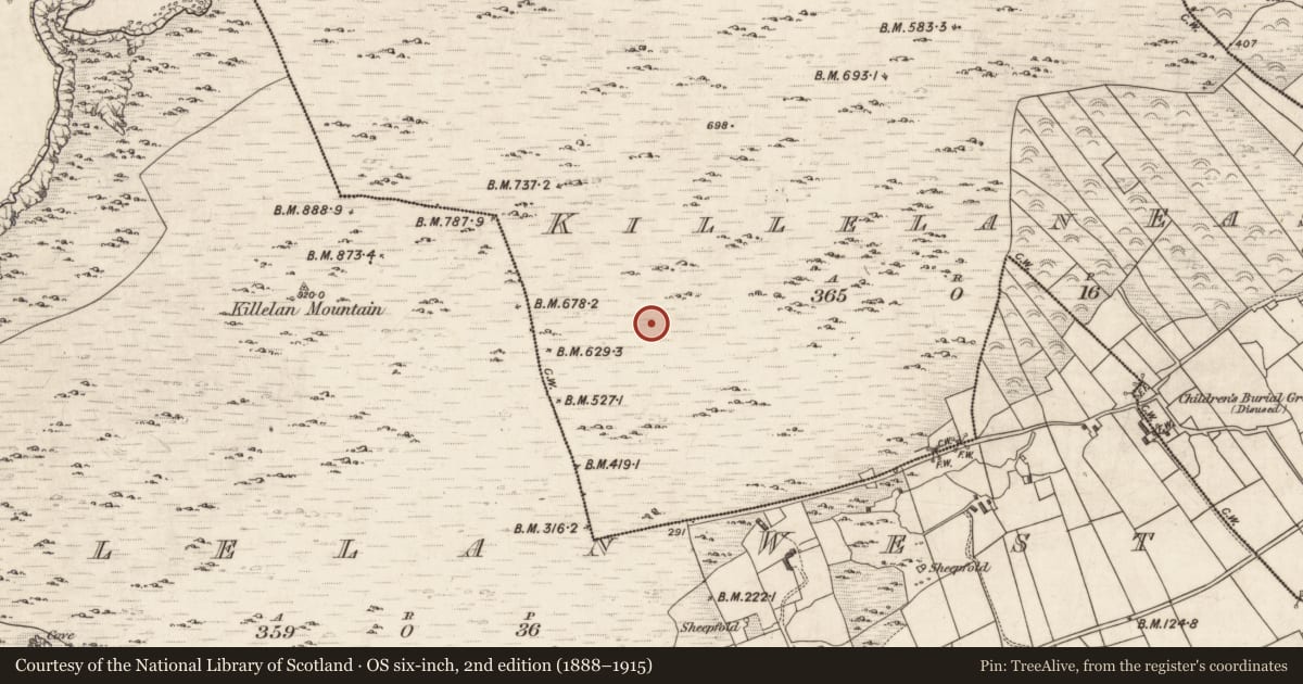 Ordnance Survey six-inch map, 2nd edition (1888–1915) covering the location of Hut site, Killelan East, County Kerry, with a pin at the register's coordinates