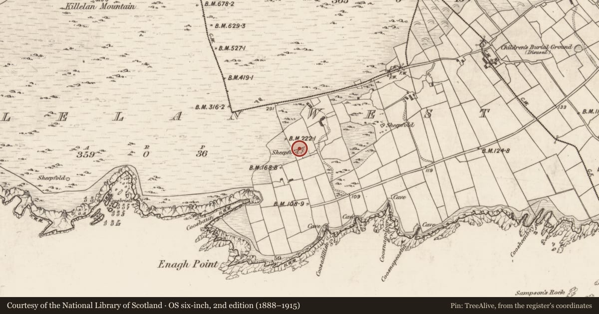 Ordnance Survey six-inch map, 2nd edition (1888–1915) covering the location of Hut site, Killelan West, County Kerry, with a pin at the register's coordinates