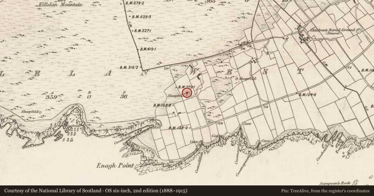 Ordnance Survey six-inch map, 2nd edition (1888–1915) covering the location of Hut site, Killelan West, County Kerry, with a pin at the register's coordinates