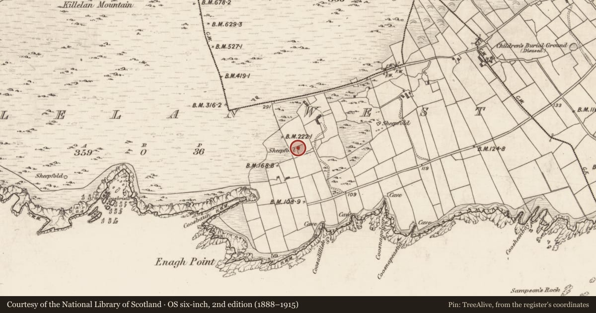 Ordnance Survey six-inch map, 2nd edition (1888–1915) covering the location of Field boundary, Killelan West, County Kerry, with a pin at the register's coordinates