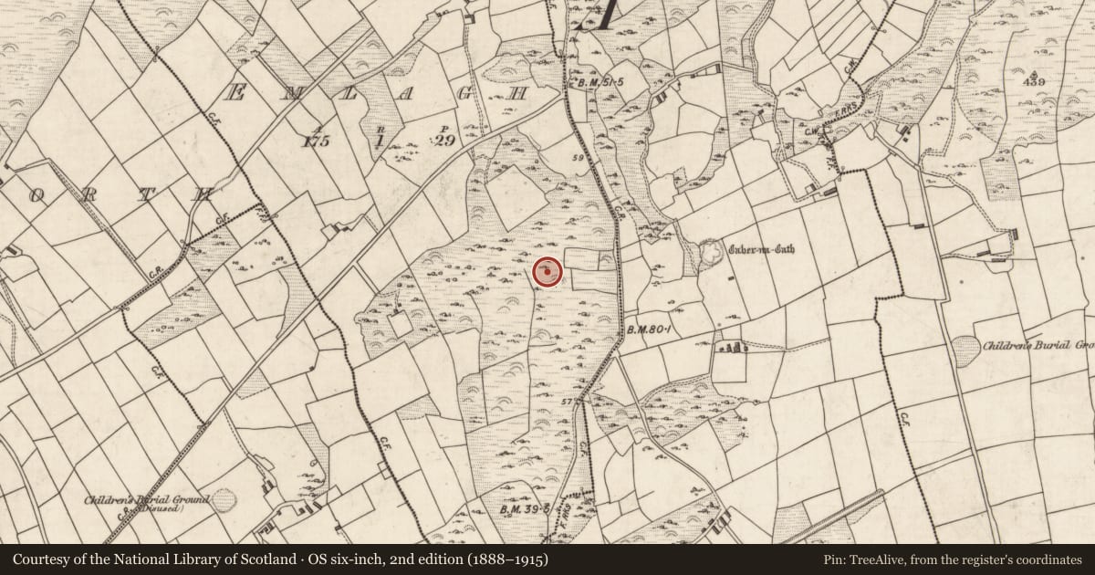 Ordnance Survey six-inch map, 2nd edition (1888–1915) covering the location of Kiln - corn-drying, Emlagh, County Kerry, with a pin at the register's coordinates