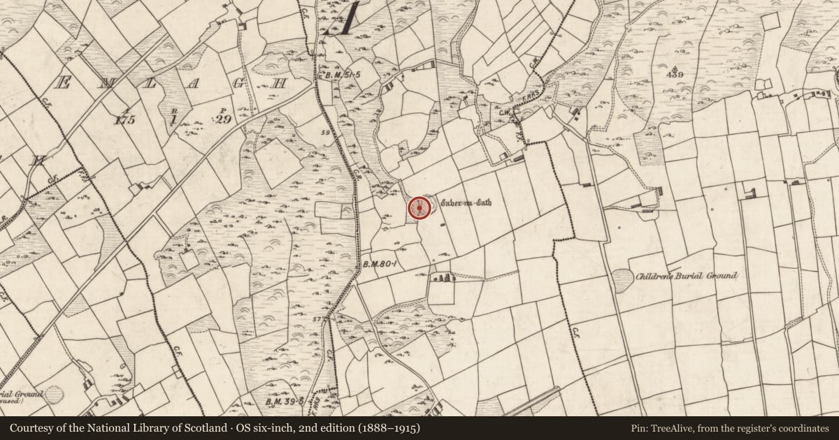 Ordnance Survey six-inch map, 2nd edition (1888–1915) covering the location of Hut site, Kimego West, County Kerry, with a pin at the register's coordinates