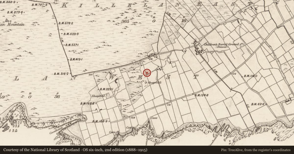 Ordnance Survey six-inch map, 2nd edition (1888–1915) covering the location of Hut site, Killelan West, County Kerry, with a pin at the register's coordinates
